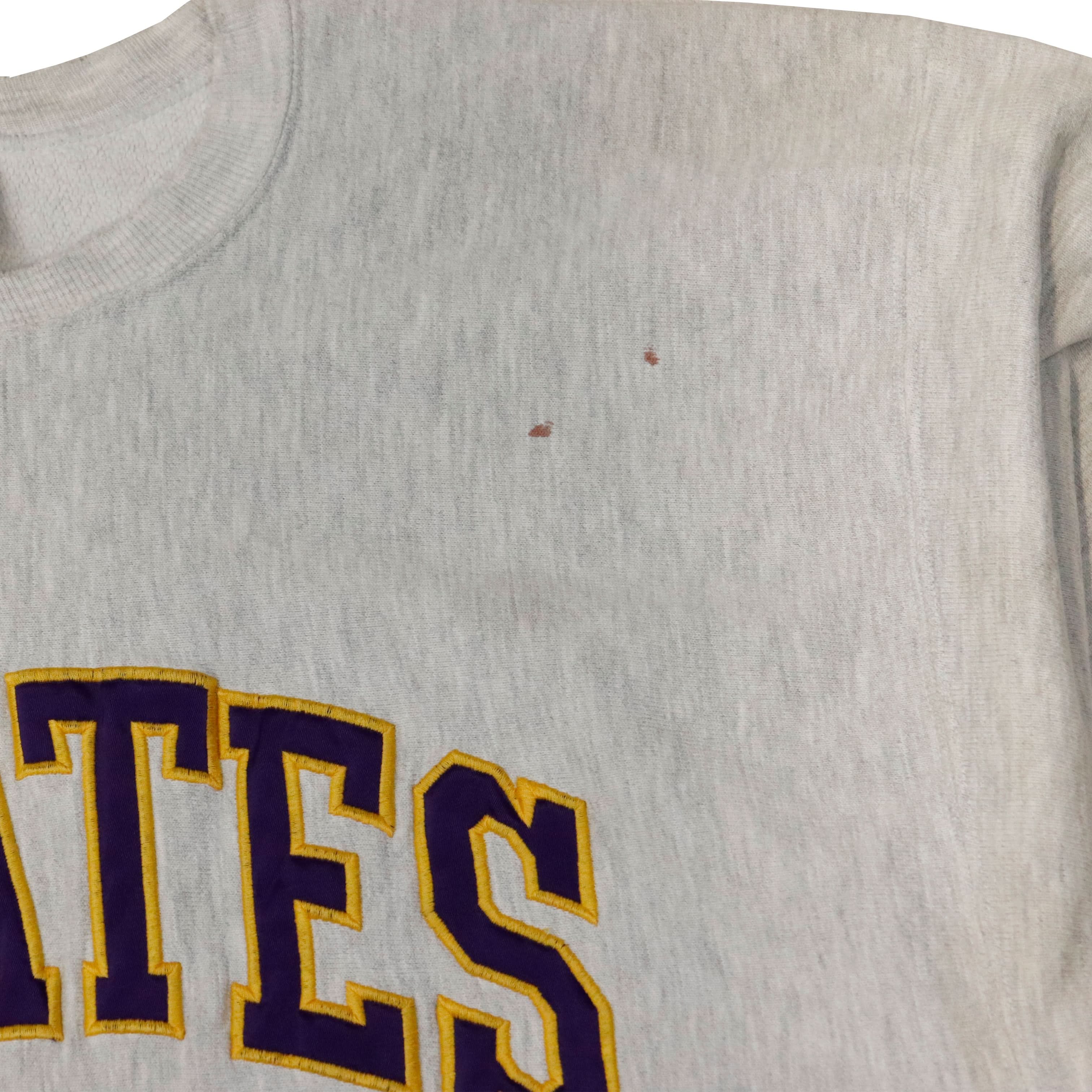 Vintage Champion Reverse Weave 90s Pirates Embroidered Crewneck Sweatshirt Size XXXL