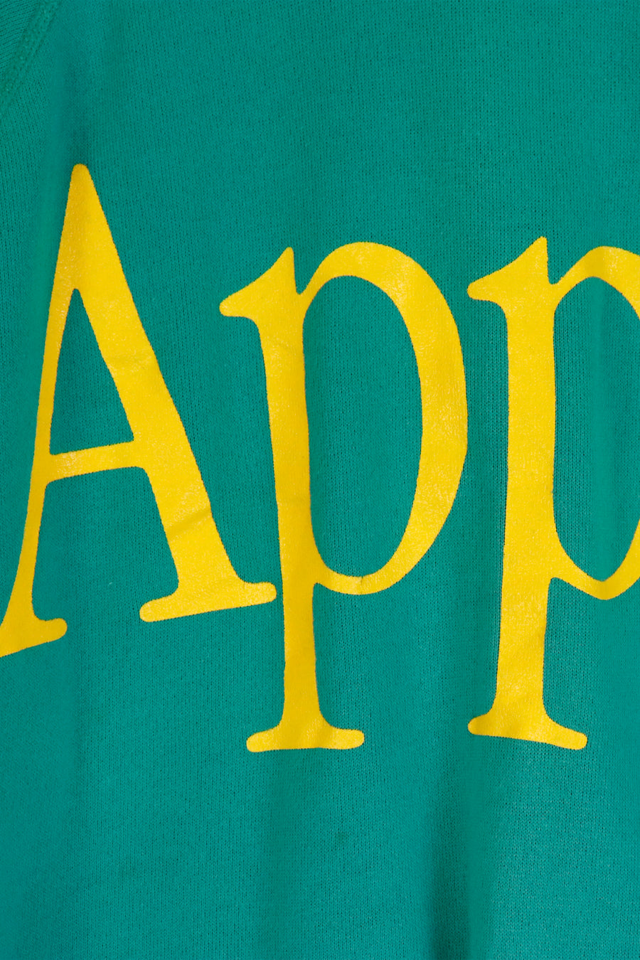 Vintage Vinyl 'Apple' Graphic Sweatshirt Sz XL