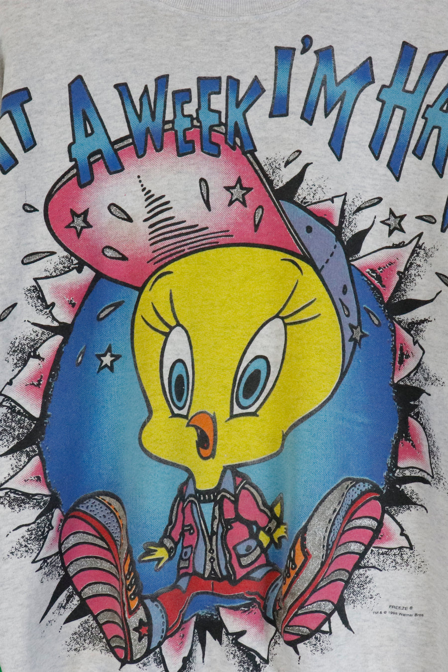 Vintage 1996 Looney Tunes Sparkly Tweety Bird Sweatshirt Sz XL