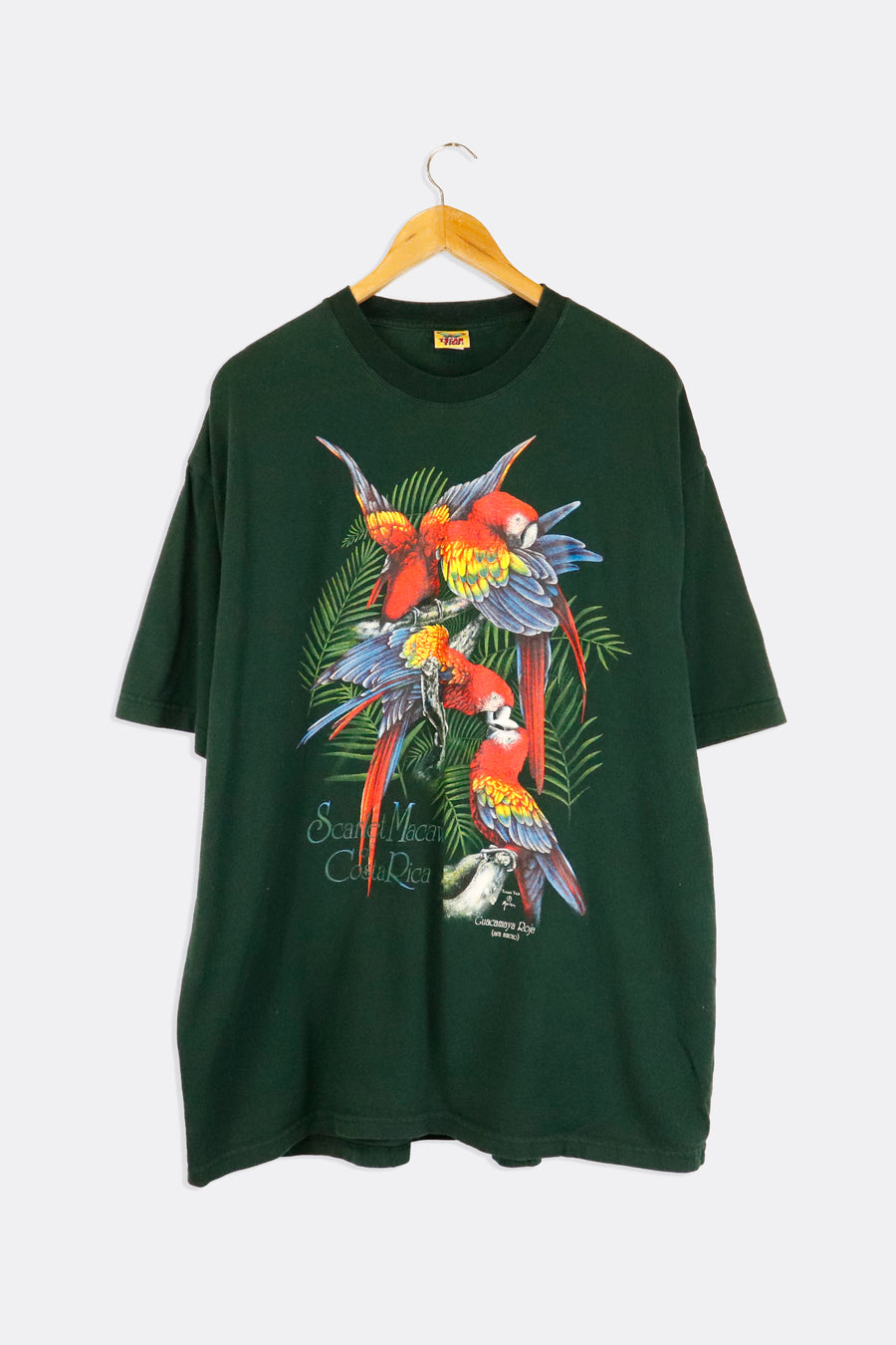 Vintage Scarlet Macaw Costa Rica Vinyl Graphic T Shirt Sz 2XL
