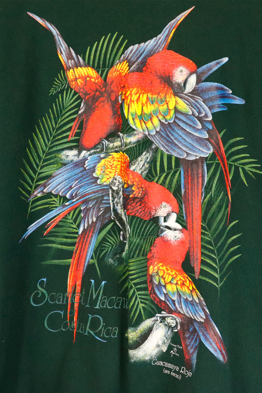 Vintage Scarlet Macaw Costa Rica Vinyl Graphic T Shirt Sz 2XL
