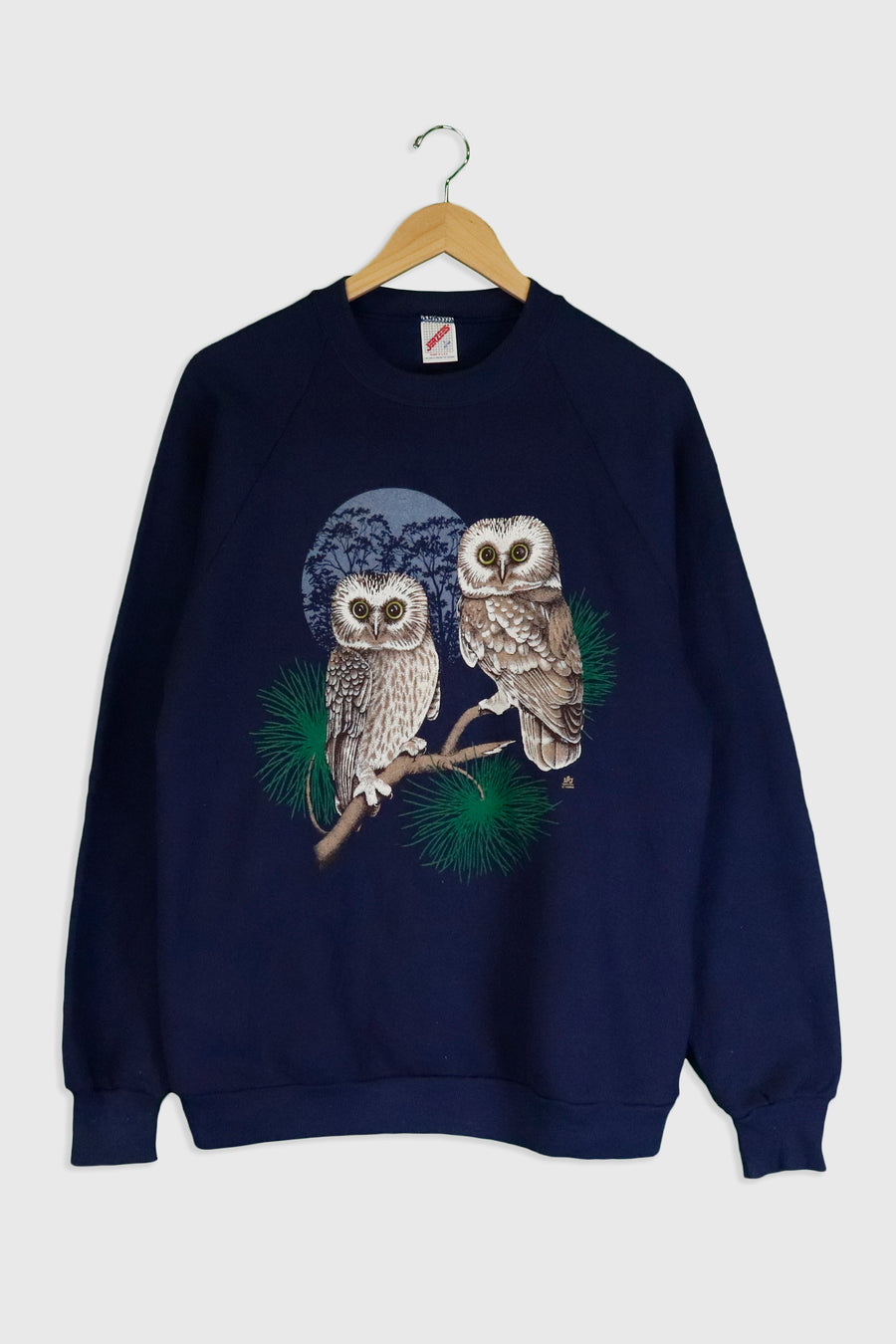 Vintage Owls On Tree Branch Sweatshirt Sz L
