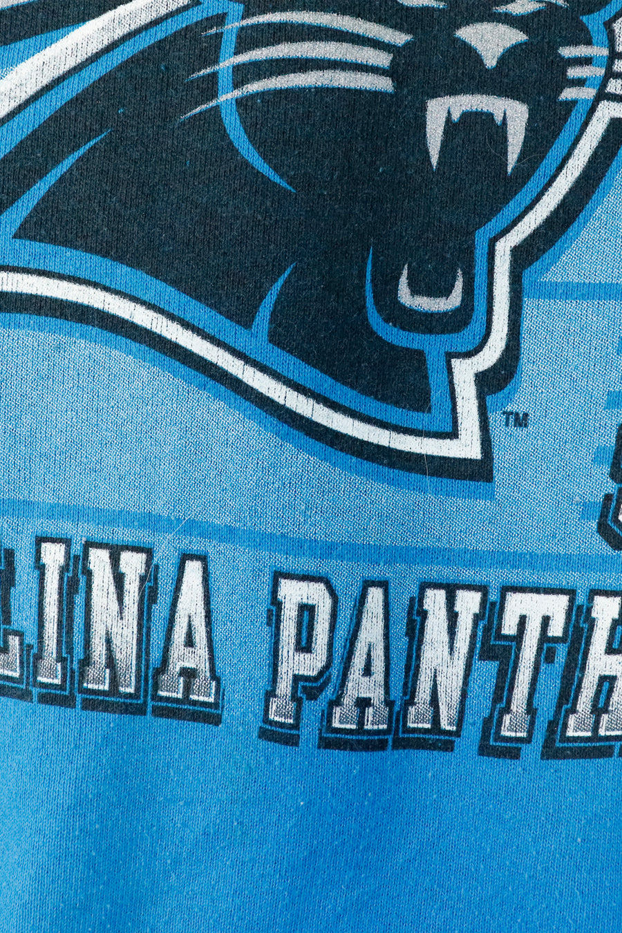 Vintage 1996 Carolina Panthers Western Division Champs Sweatshirt Sz XL