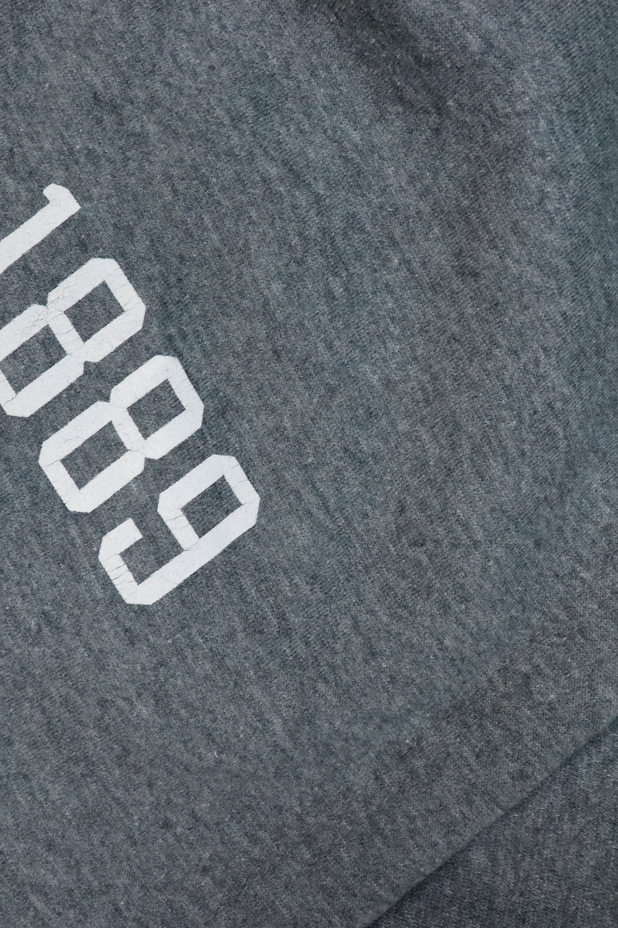 Vintage 1889 Oneonta State Sweatshirt