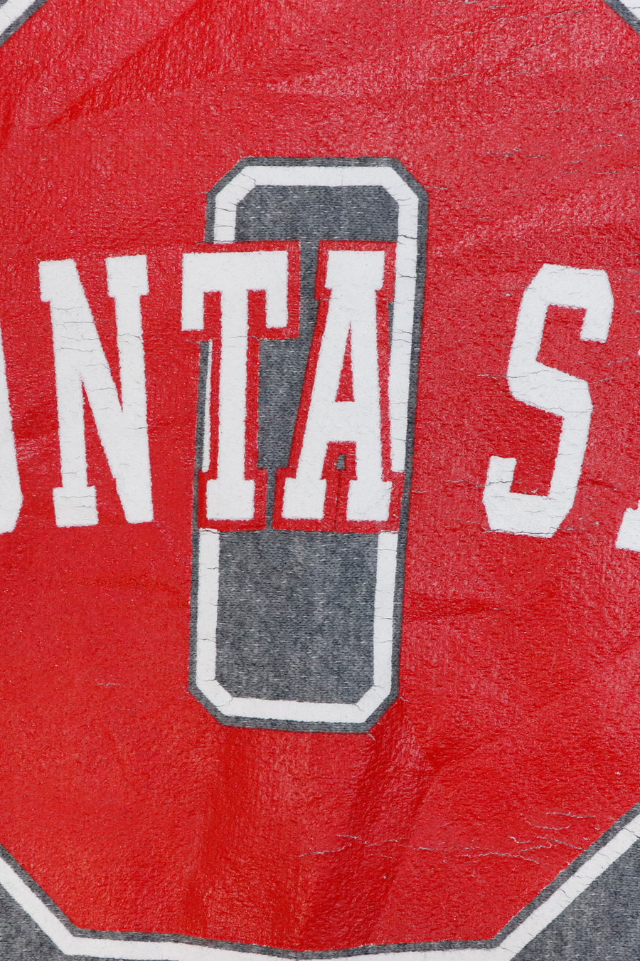 Vintage 1889 Oneonta State Sweatshirt