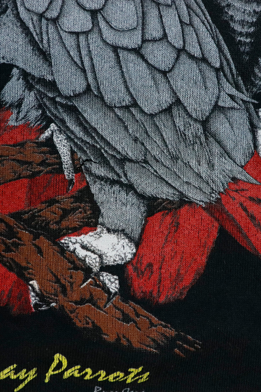 Vintage African Gray Parrots Preserve Wildlife