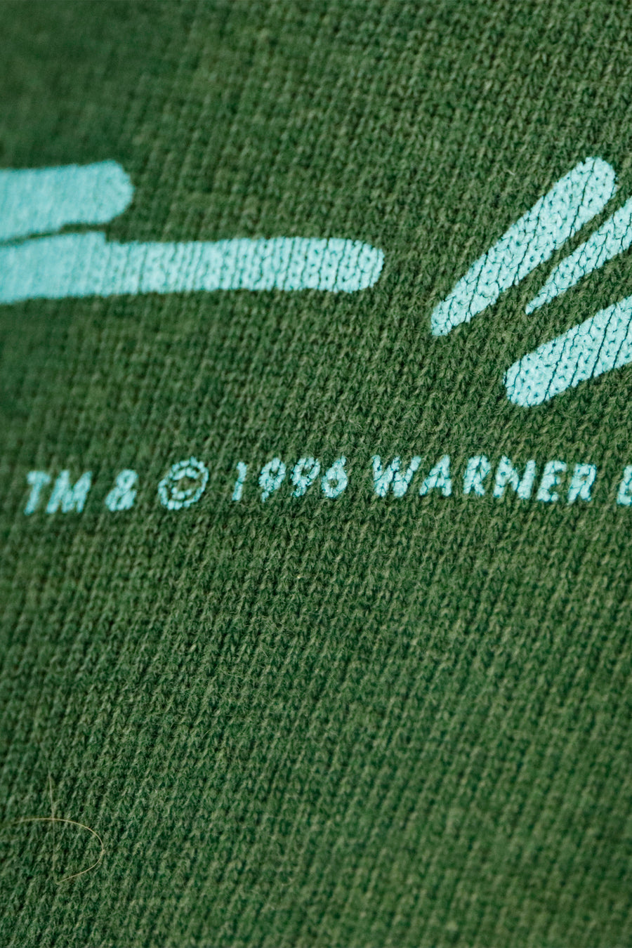 Vintage 1996 Tweety On The Fence Turtleneck Sweatshirt Sz L