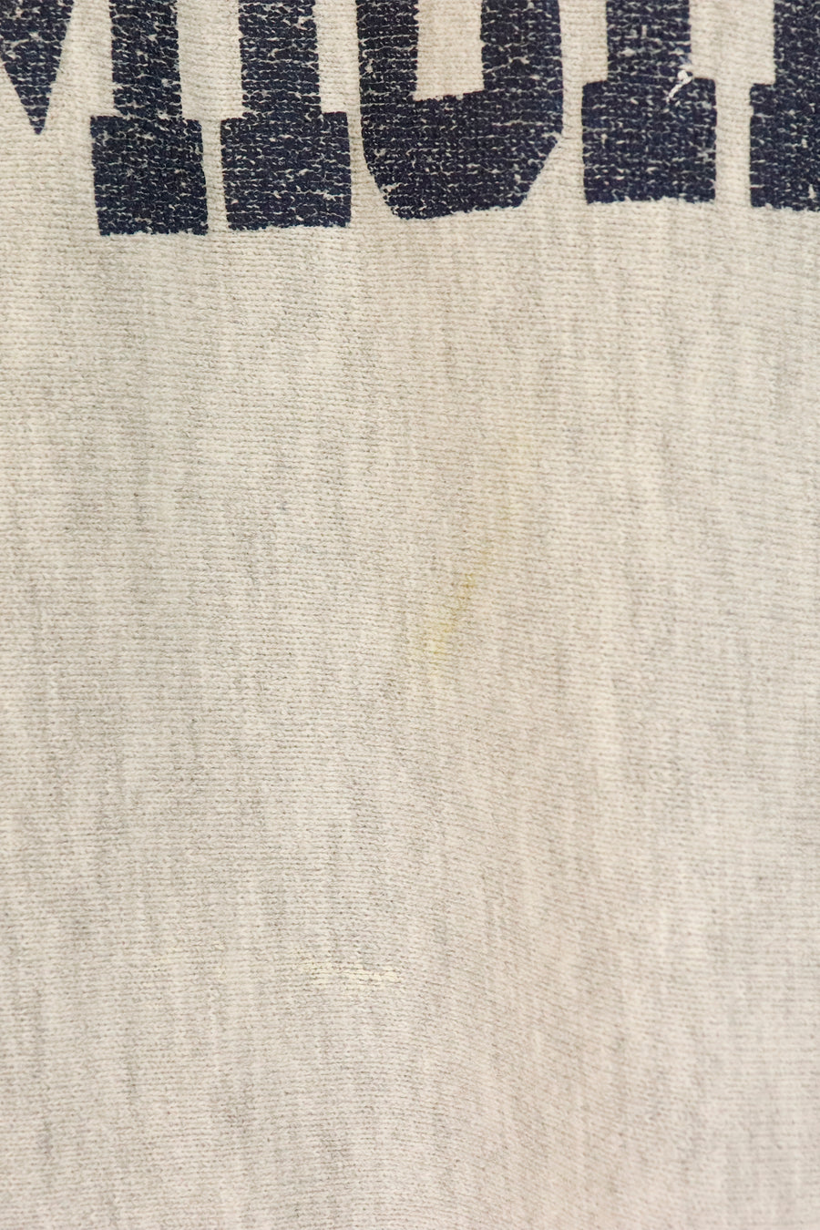 Vintage Champion Reverse Weave Michigan Sweatshirt Sz L
