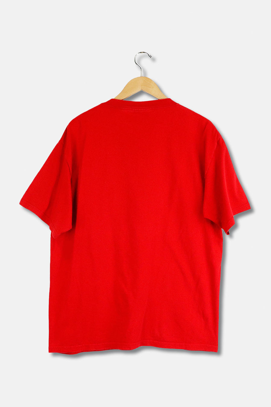 Vintage NHL Detroit Red Wings Team Pride T Shirt