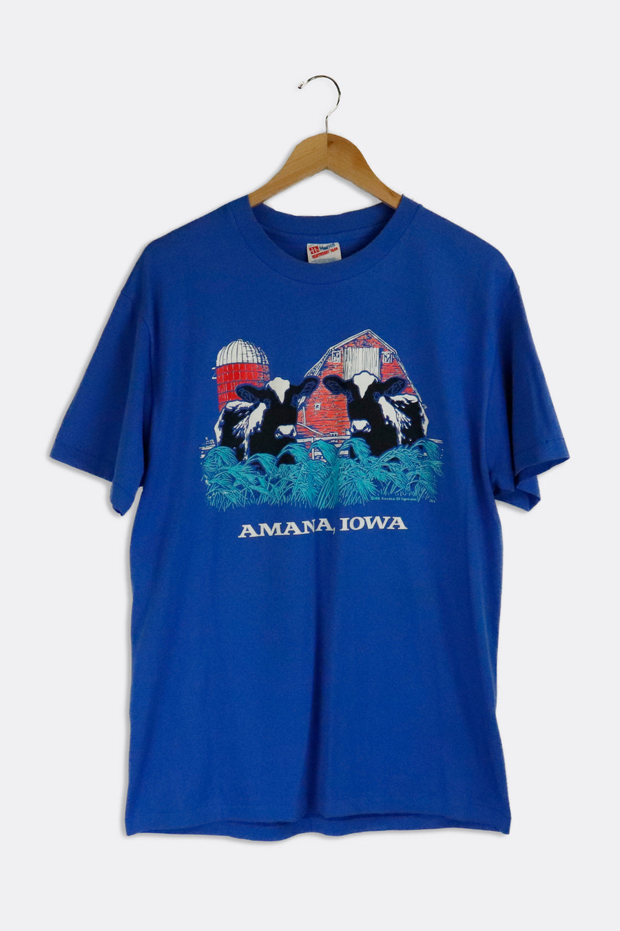 Vintage 1991 Amana Iowa T Shirt Sz L